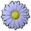 avatar_david_100
